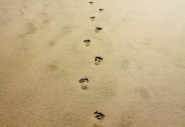 100,000-Year-Old Neanderthal Child’s Footprints Found on Spanish Beach