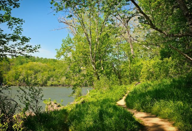 Earliest Maryland Colonial Site Finally Found After 90-Year Search