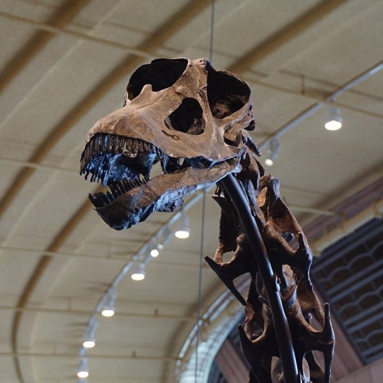 “Ninja Giant” Could Be the Oldest Titanosaur Ever Discovered