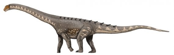 Titanosaur 570x183