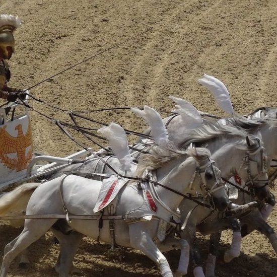 Ancient Chariot Almost Perfectly Preserved Discovered Near Pompeii