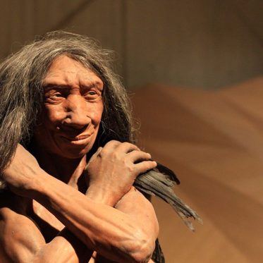 True Identity of Ancient ‘Hobbit’ Species May Have Been Found