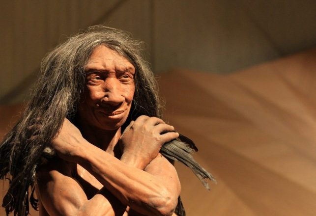 True Identity of Ancient ‘Hobbit’ Species May Have Been Found