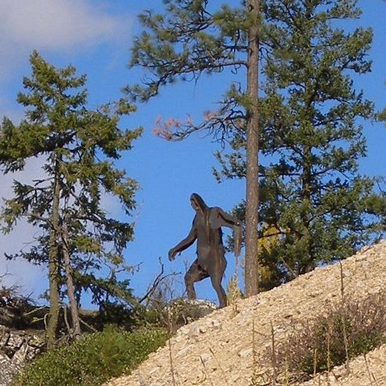 Oklahoma Bigfoot Hunting License Update – the Reward Just Got Bigger, But …