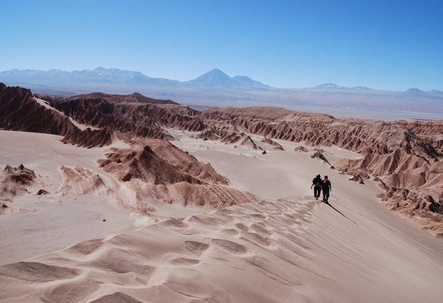 Plant-Eating Dinosaur Found in the World’s Driest Desert