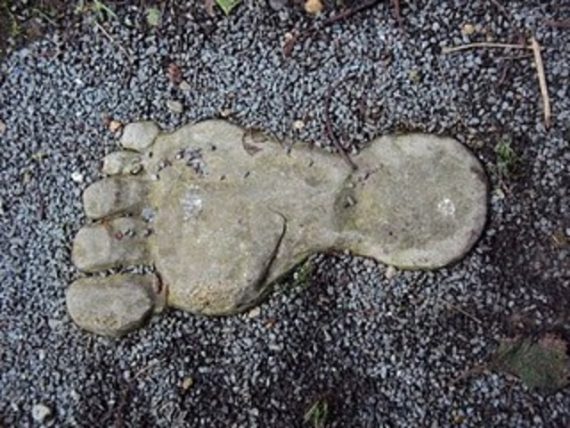 Bigfoot Foot 570x428