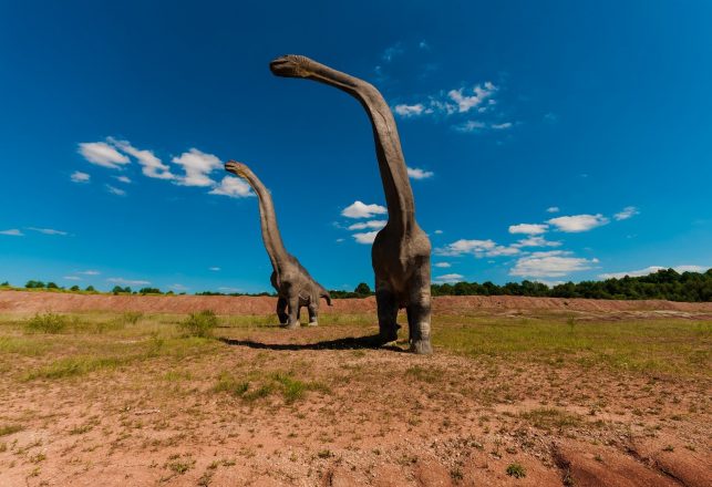 Dinosaurs May Have Carried Rocks 1,000 Miles – In their Stomachs