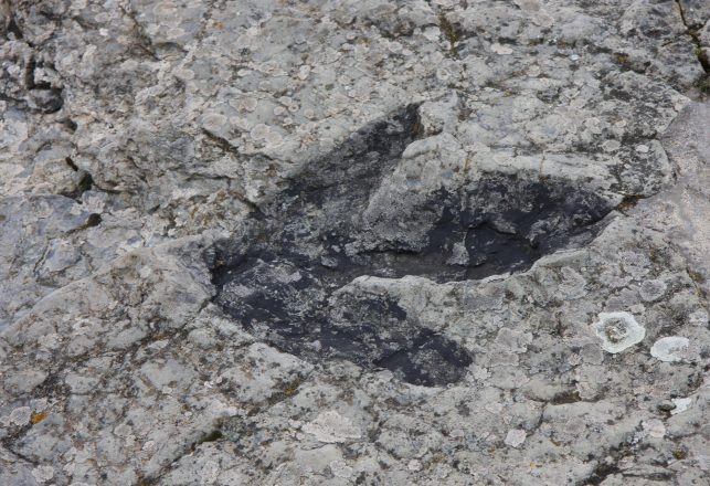 China’s “Dinosaur Dance Floor” and Yorkshire’s Largest Ever Dinosaur Print