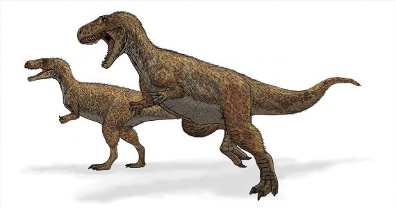 Megalosaurus 570x301
