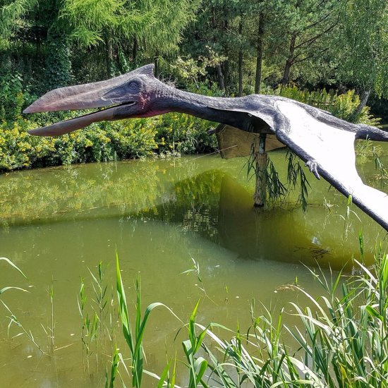 How Pterosaurs Could Fly With Giraffe-Like Necks Has Finally Been Solved