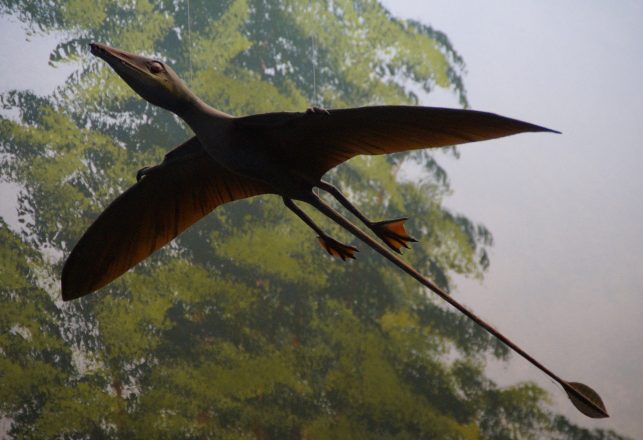 One of the Strangest Phenomena in Cryptozoology: Still-Living Pterodactyls