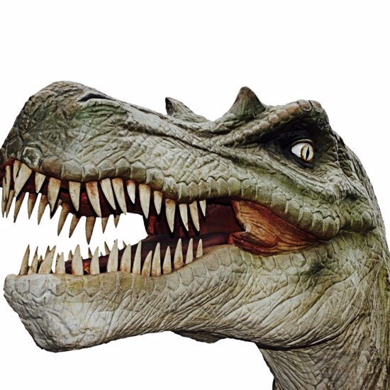 Terrifying Tyrannosaurus Rex Lookalike Unearthed in Patagonia