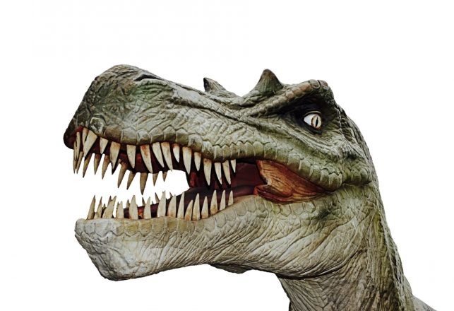 Terrifying Tyrannosaurus Rex Lookalike Unearthed in Patagonia