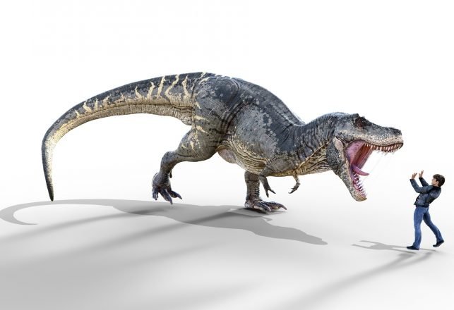 Slow Mover! Studies Show Humans Could Outwalk a Tyrannosaurus Rex