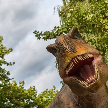 Scientists Estimate 2.5 Billion Tyrannosaurus Rexes Roamed the Earth