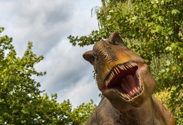 Scientists Estimate 2.5 Billion Tyrannosaurus Rexes Roamed the Earth