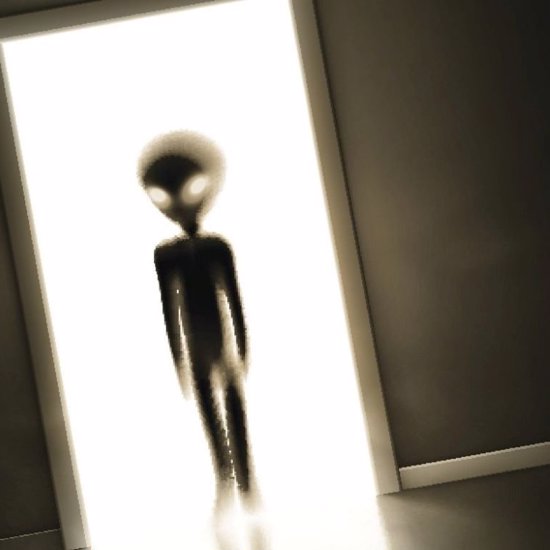 An Ex-Marine and His Bizarre Alien Encounters