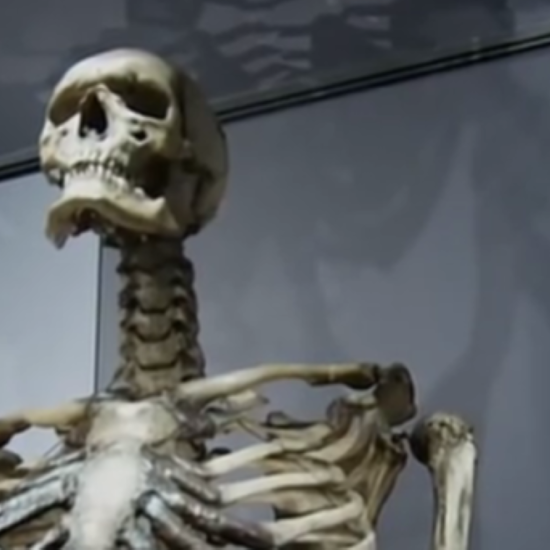The Bizarre Mütter Museum and its Mysterious Giant Skeleton