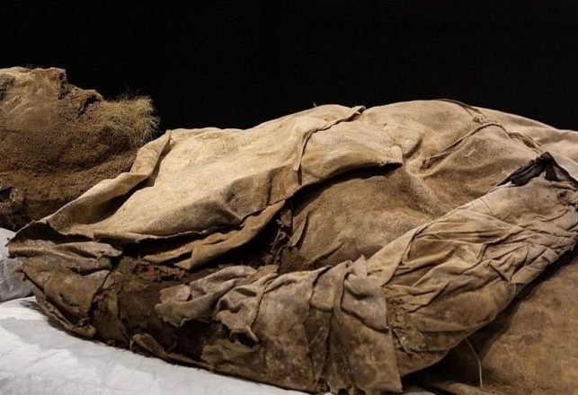 The Bizarre Case of The Mummified Bishop and the Mysterious Fetus