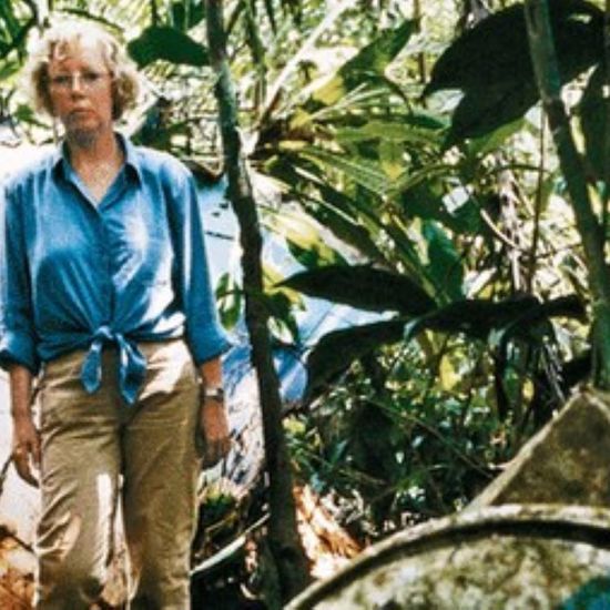 The Miraculous Amazon Survival Story of Juliane Koepcke