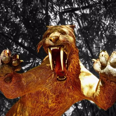 Massive Saber-Toothed Cats Terrorized North America Millions of Years Ago