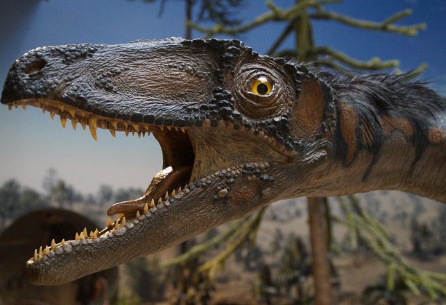 “Talkative” Dinosaur, a Jurassic Shark, and the Earliest Menefeeceratops