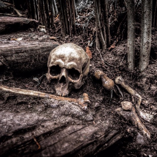 78,000-Year-Old Skeleton is Africa’s Earliest Human Burial