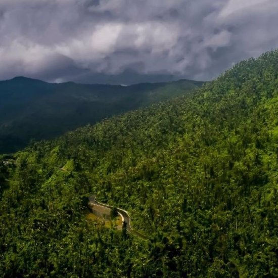 Bizarre Alien Encounters at Puerto Rico’s El Yunque National Forest