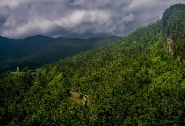 Bizarre Alien Encounters at Puerto Rico’s El Yunque National Forest