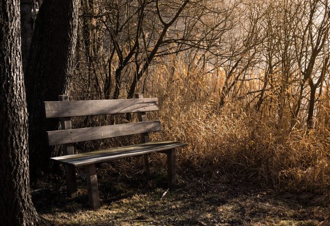 Woman Snaps Photo of a Ghost Sitting on a Park Bench in Singapore