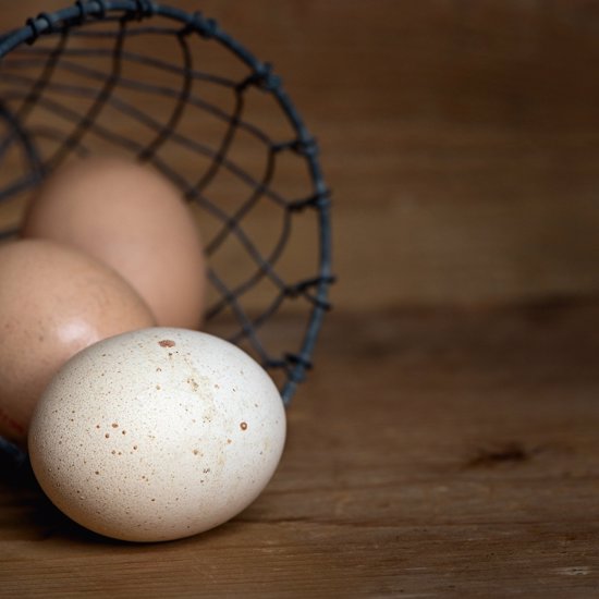 Extremely Rare Chicken Egg and a Rediscovered California Albatross