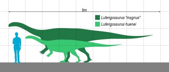 Lufengosaurus 570x243