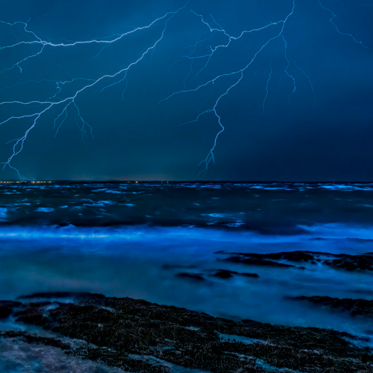Mysterious Echoes and Strange Lights at Sea: Bioluminescence on Radar?