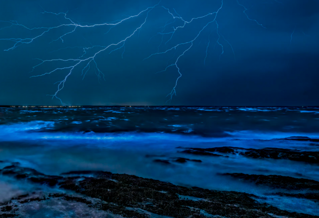 Mysterious Echoes and Strange Lights at Sea: Bioluminescence on Radar?