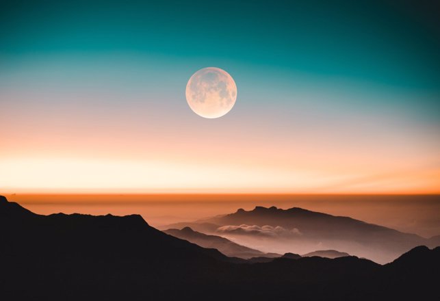 Daytime or Lunar Time? The Mysterious Influences of the Sun and Moon on Biology