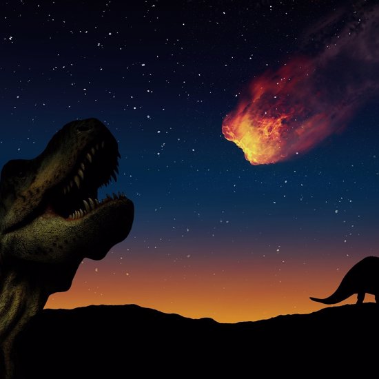 Dinosaur-Killing Asteroid Possibly Came From a “Safe” Location in the Asteroid Belt