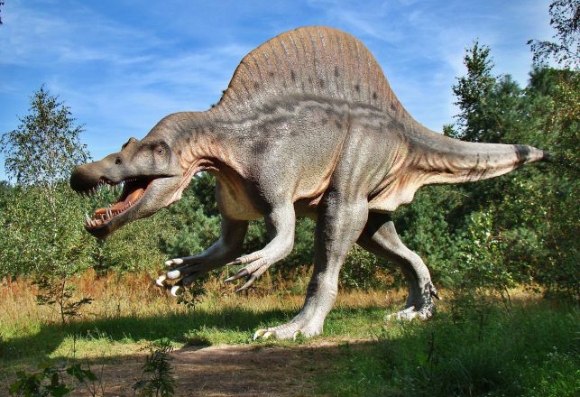 Dinosaur Populations May Have Been Struggling Prior to the Asteroid Hit
