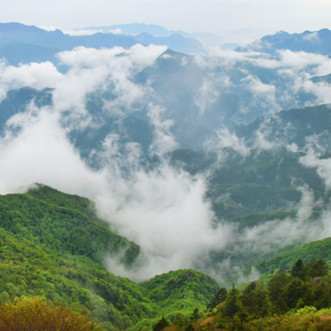 The Hairy Giants of Hubei: How Reports of a Red-Haired “Monster” Once Launched a Chinese Scientific Expedition