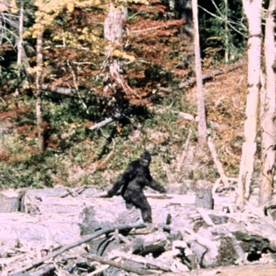 A Cowboy’s Promise: New Controversies Emerge Over Famous Patterson-Gimlin Film