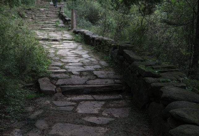 Ancient Road and Structures Found Submerged in a Lagoon in Venice