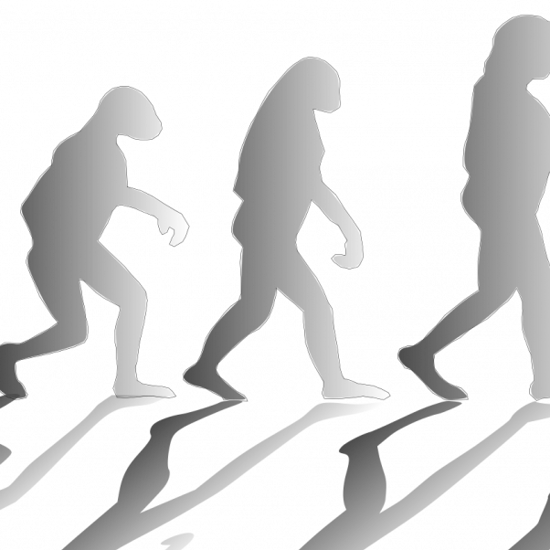 Coywolf Hybrids May Help Explain Human Evolution