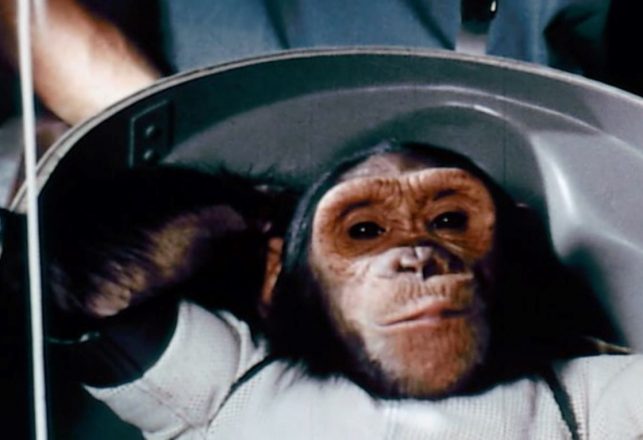 The Strange Story of Ham, the Space Chimp