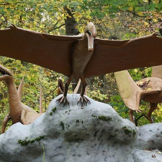 Baby Pterosaurs Flew Just Hours After Hatching