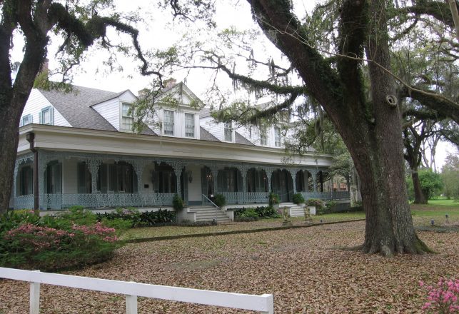 Possible Ghost Face Photographed at the Haunted Myrtles Plantation