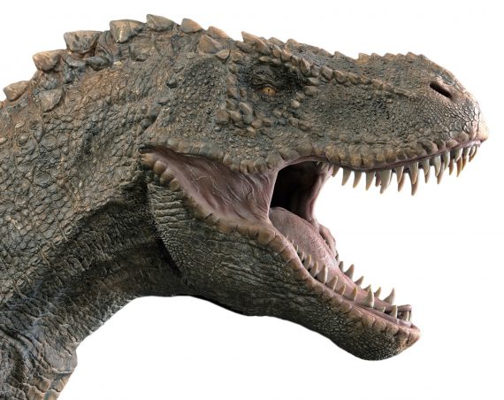 Tyrannosaurus rex 570x452
