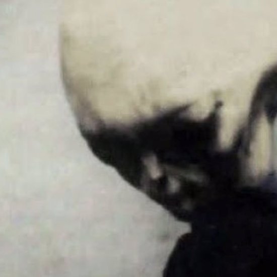 The Strange Case of the “Skinny Bob” Alien Videos
