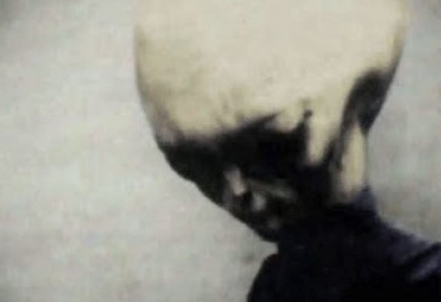 The Strange Case of the “Skinny Bob” Alien Videos