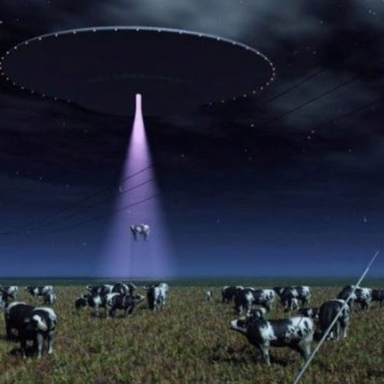 The Strange Case of an Alien Cow Abduction and Mutilation in 1897