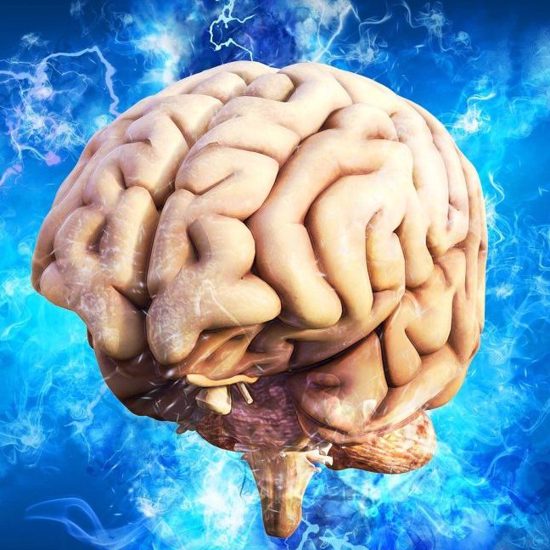 Lab-Grown Human Mini-Brains Show Normal and Abnormal Brain Waves
