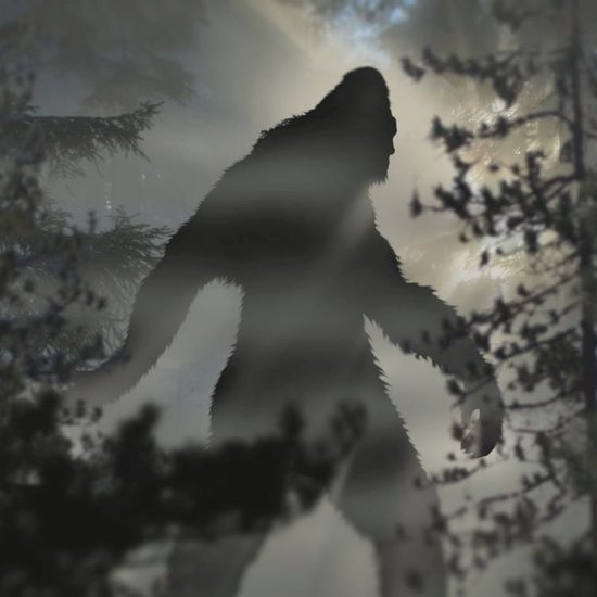 The Bizarre Case of the Bride of Bigfoot